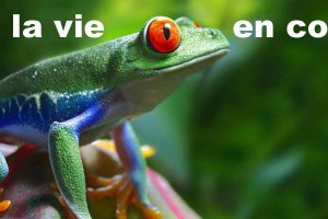 Réalisation de supports publicitaires