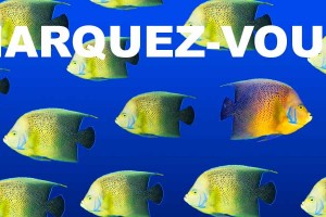 Webmarketing et Référencement (SEM/SEO)
