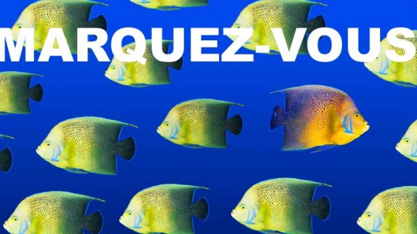 4. Webmarketing – Référencement
