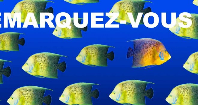 4. Webmarketing – Référencement