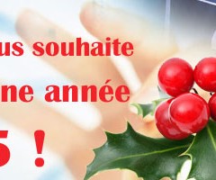 Meilleurs voeux pour 2015