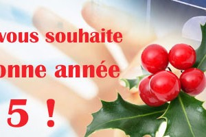 Bonne années 2015